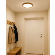 LED stropné 3CCT svietidlo TR-72S - 18W 1850lm ø23x2,5cm Trixline
