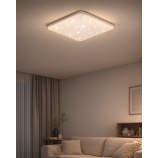 LED stropné svietidlo TR-605S - FLORA 60W 5700lm 53x53cm CCT + ovládač Trixline LED stropné svietidlo TR-605S - FLORA 60W 5700lm 53x53cm CCT + ovládač Trixline