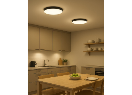 Q-221CP Led stropné svietidlo FLUME 10W 850lm 4000K ø22,5cm/kruhové čierne QTEC