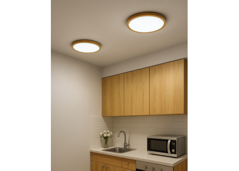 LED stropné 3CCT svietidlo TR-76S - 24W 2500lm ø30x2,5cm Trixline